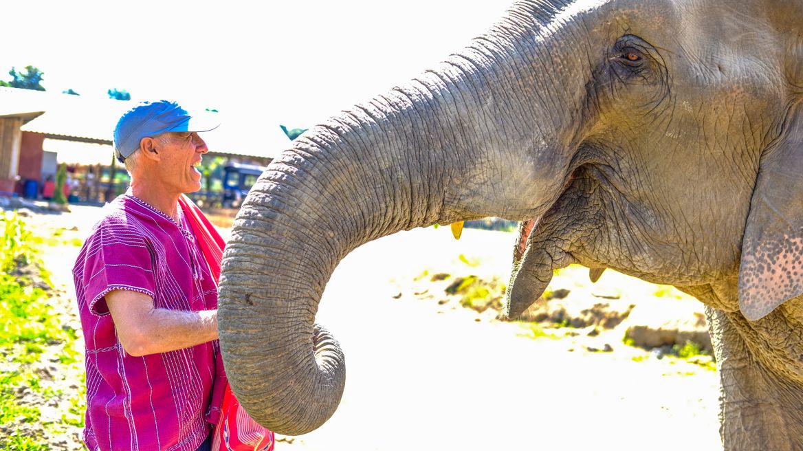 Play with elephant