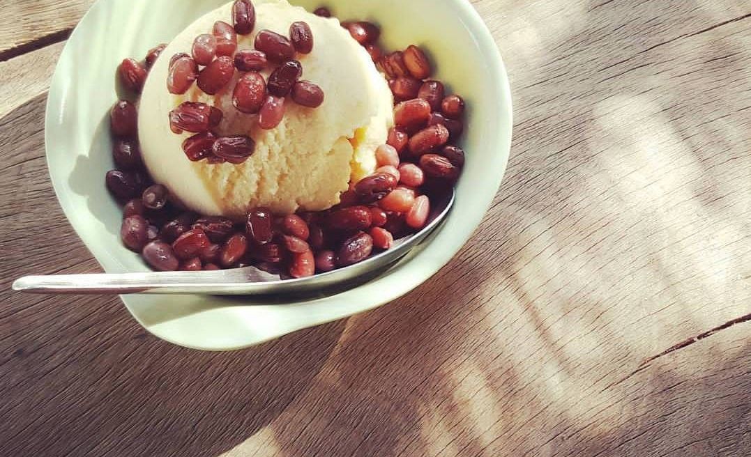Refreshing Coconut Ice Cream