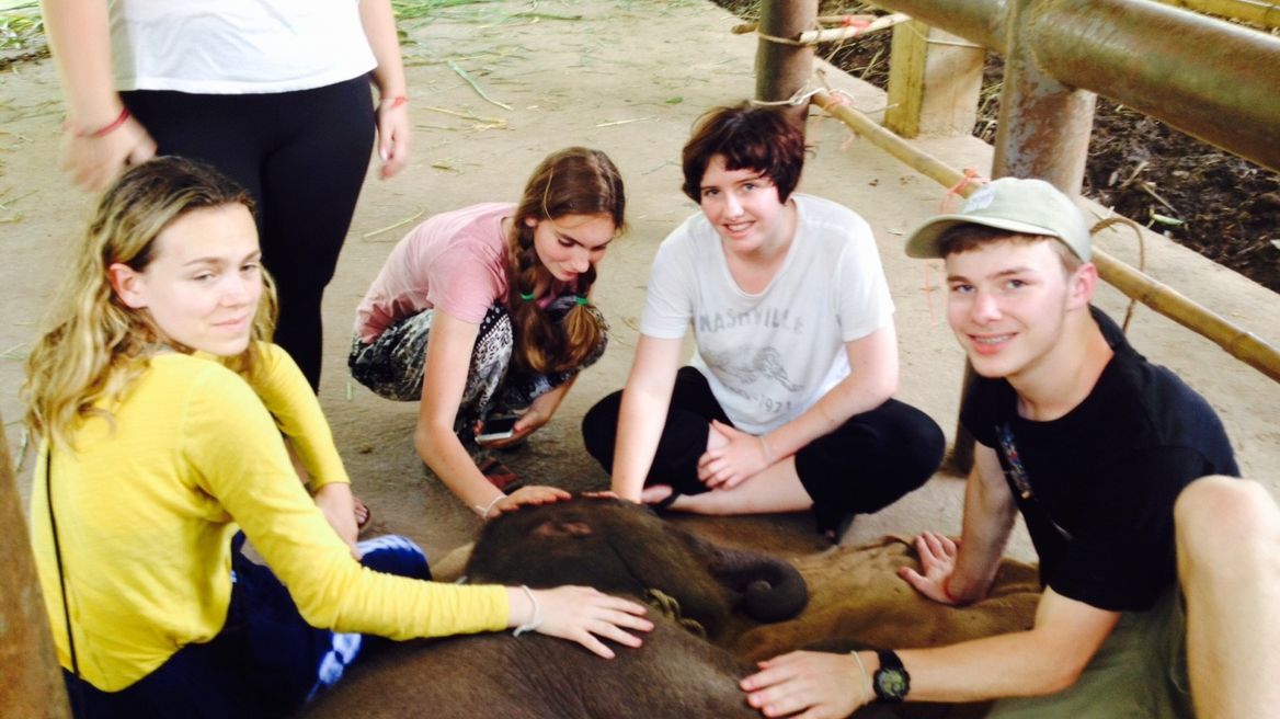 Ethical Elephant Day Care in Chiang Mai