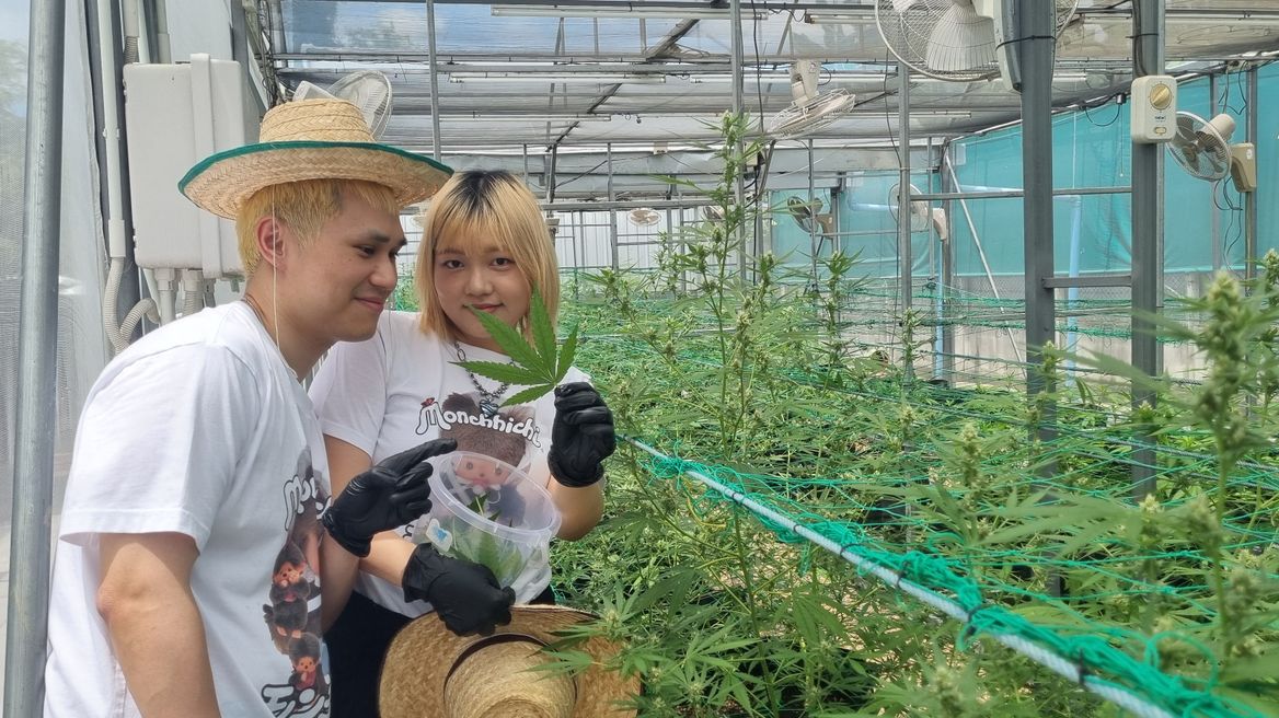 Defoliating our flowering plants