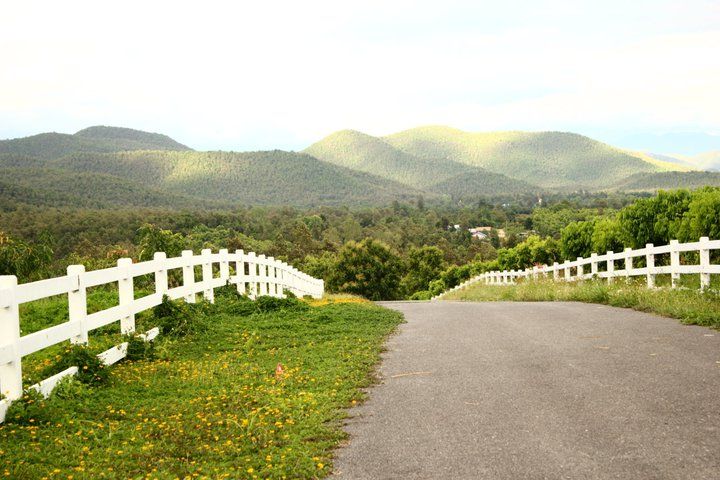 Maejo Farm1