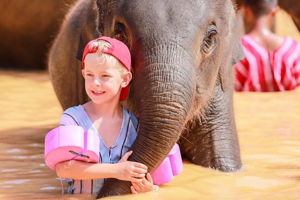 The baby elephant also have surprised for you.