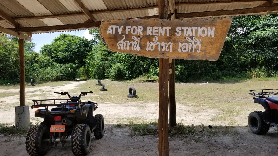 Explore forest with ATV.