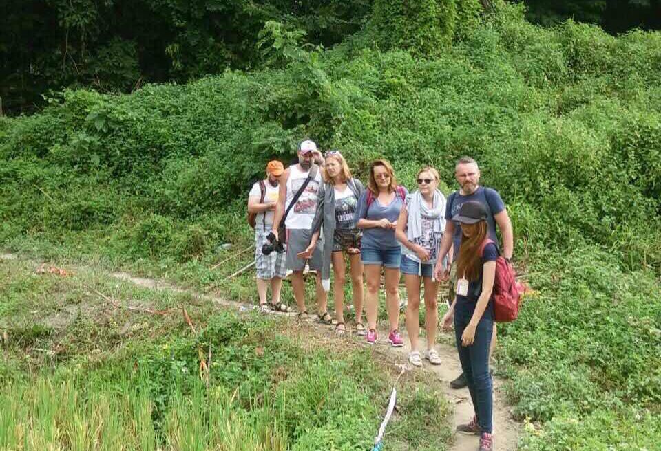 Chiang Mai Tour: Forest Hiking