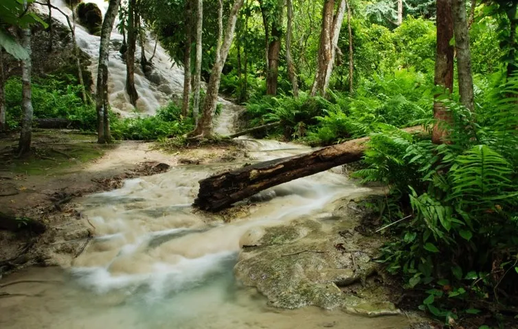 Sticky waterfall.