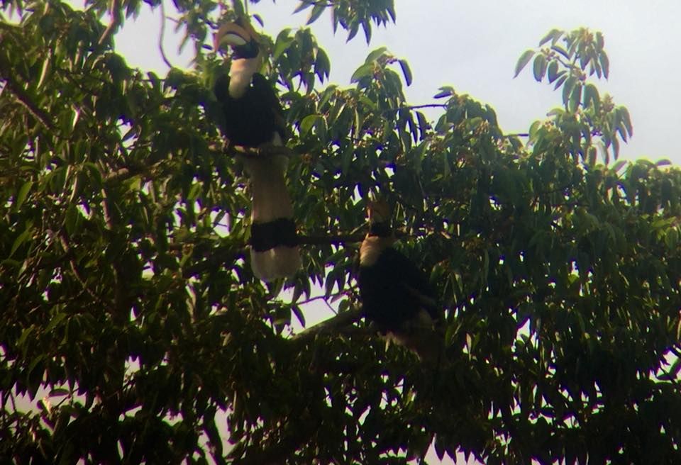 Khao Yai National Park