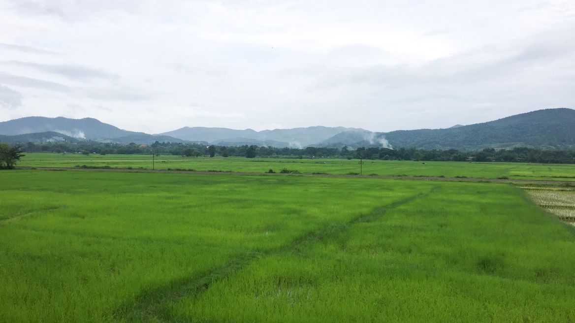 View from my home