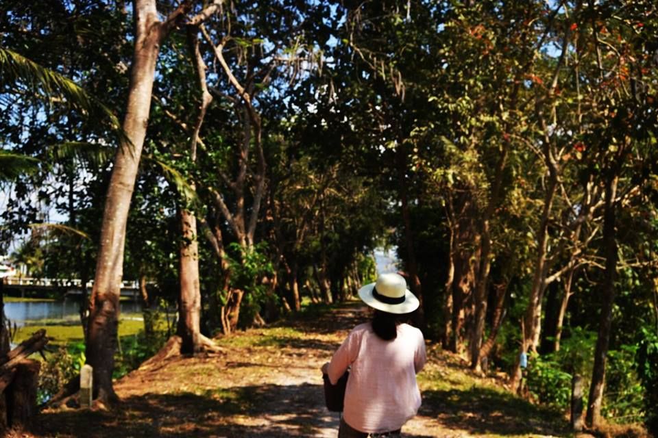 cycling through the tree tunืel 