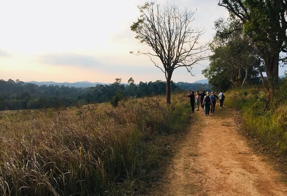 Khao Yai National Park