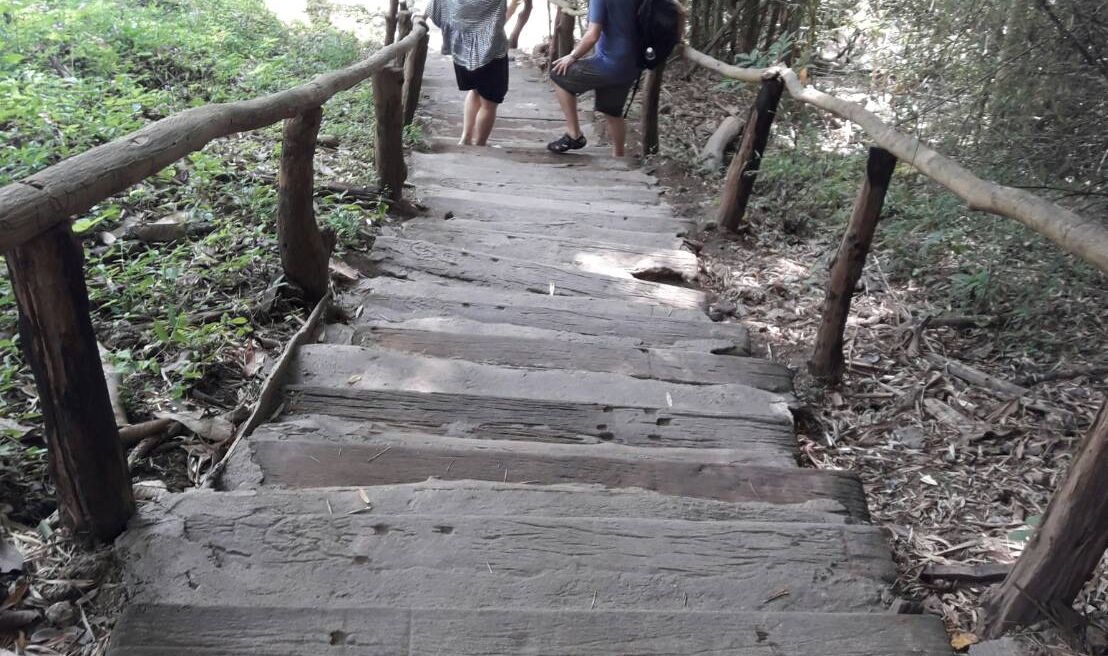 TRAIL DOWN THE STICKY WATERFALL