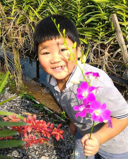 One fine day in an orchid farm. 