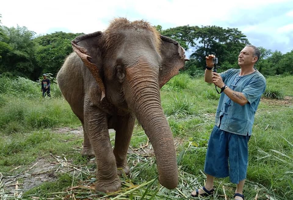 Ethical Elephant Day Care in Chiang Mai