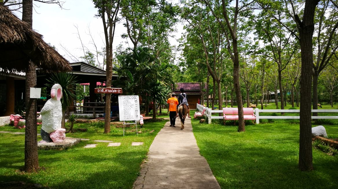 Khao Kling Royal Self Sufficiency Project 3