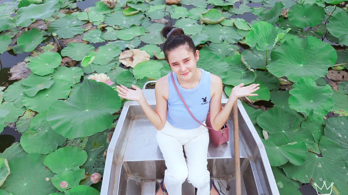 lotus pond