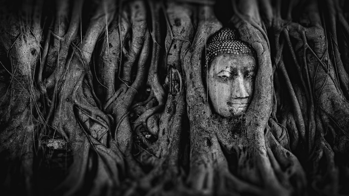 Buddha Head in Tree Roots at Wat Mahathat