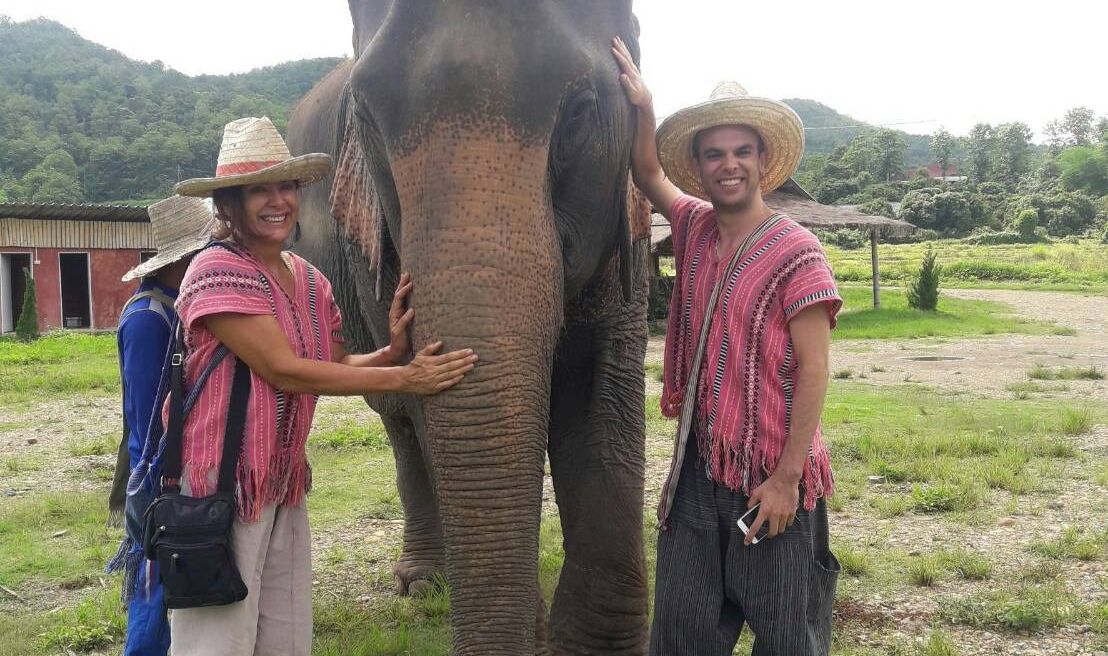 take a photo with elephant