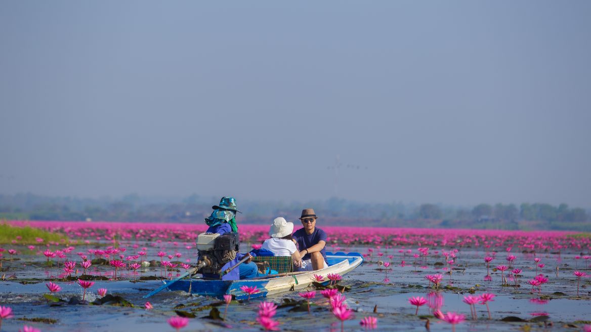 Red lotus lake udonthani