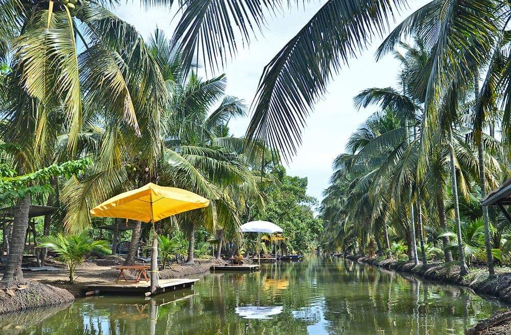 Coconut farm (boating river)