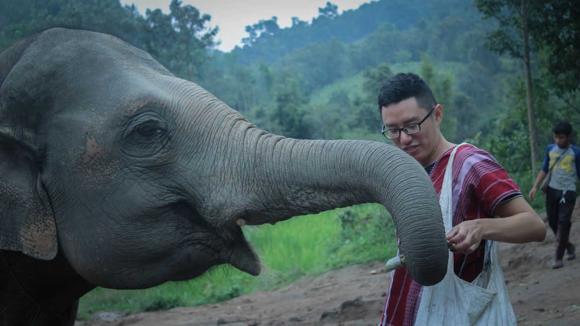 Chiang Mai Tour: Ethical Elephant Care