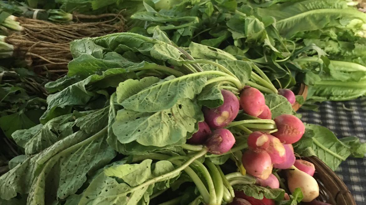 Explore and learn our local grown