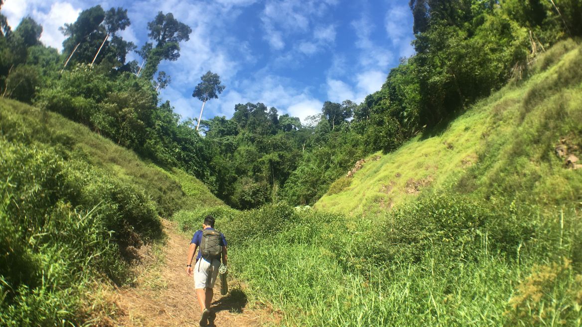 Surrounded with trees and green grass, above us only sky