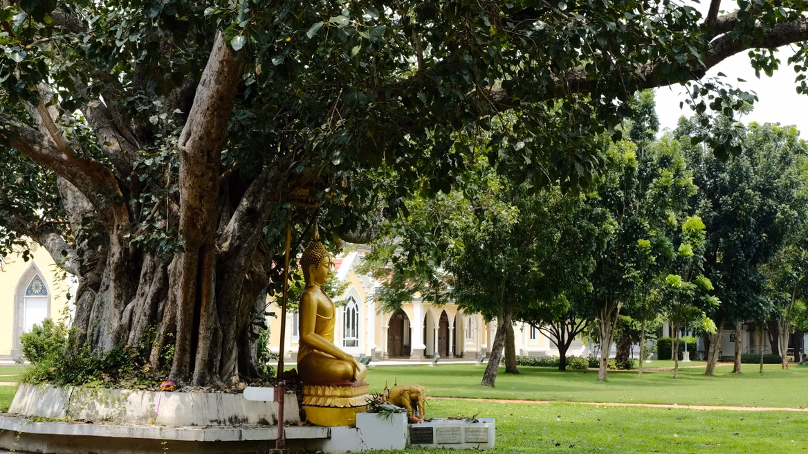 Nature in the temple