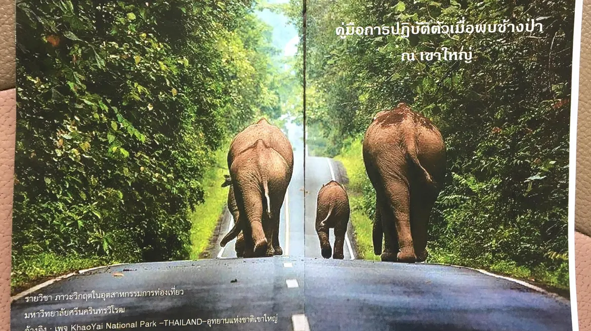 @Khao-Yai