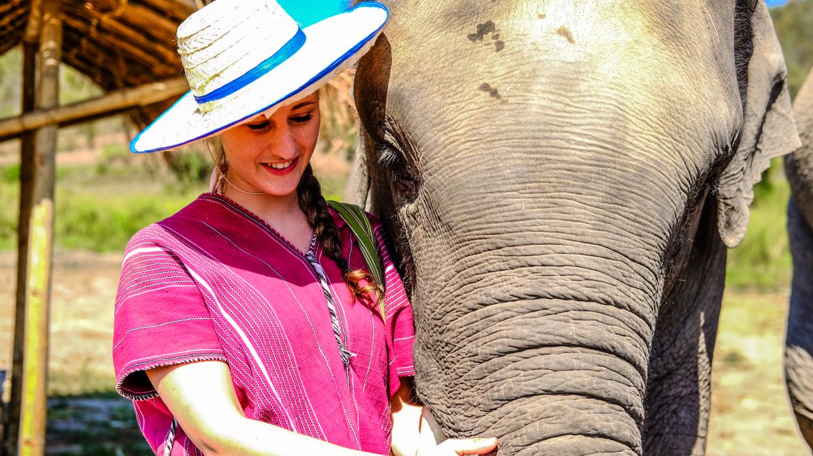 Closely with elephant