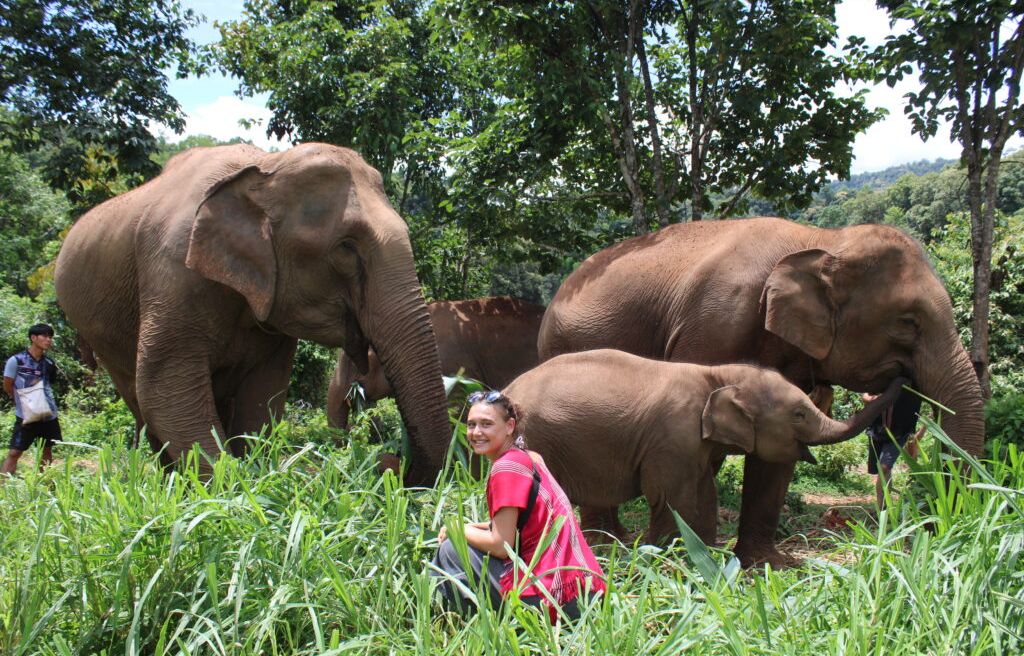 Just hanging out with the locals. 🌿✨ Feeling tiny next to these beautiful creatures. I could have stayed in this jungle watching them snack all day. Best day ever!