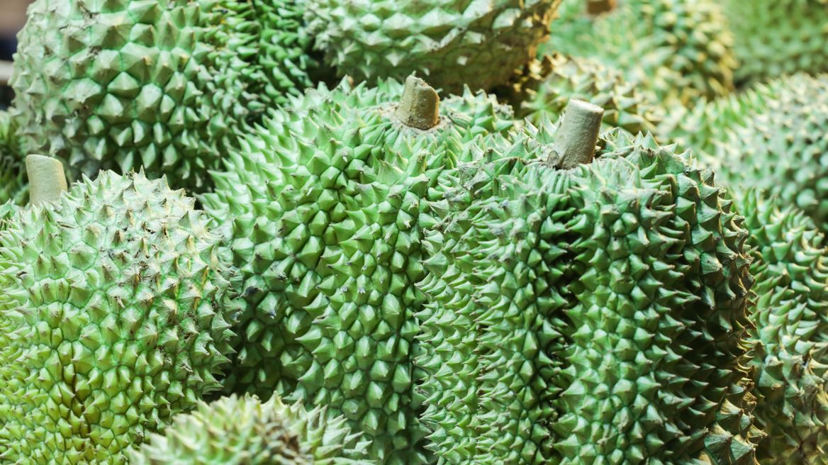 King of fruits. Durians