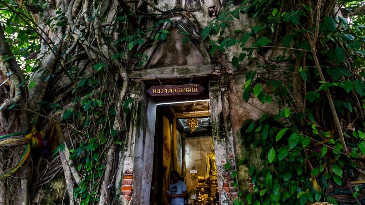 Wat Bang Kung, a nearly 300 years temple that covered by root tree