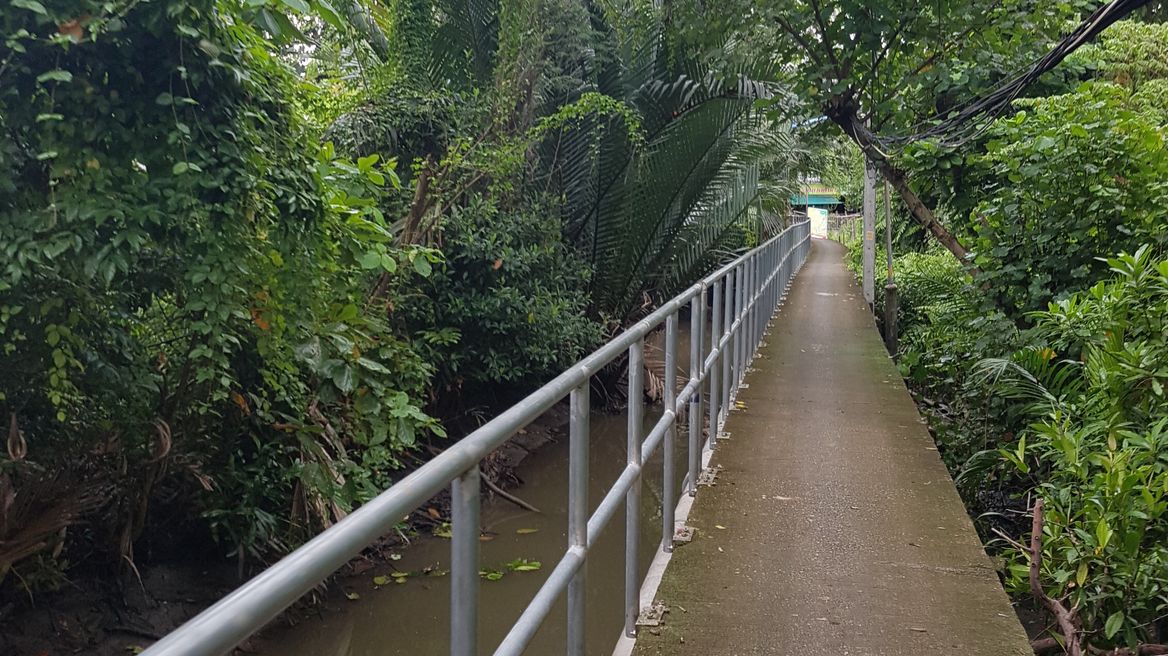 The road that surrounds nature