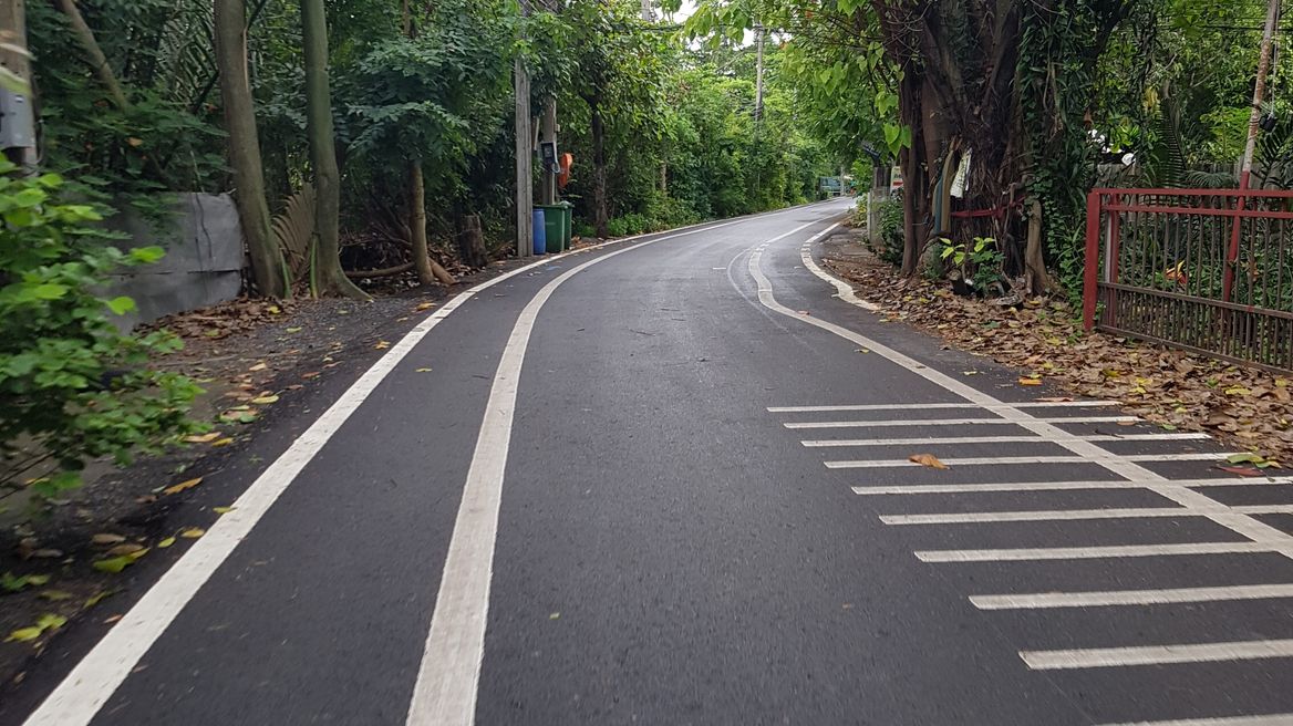 The road that surrounds nature