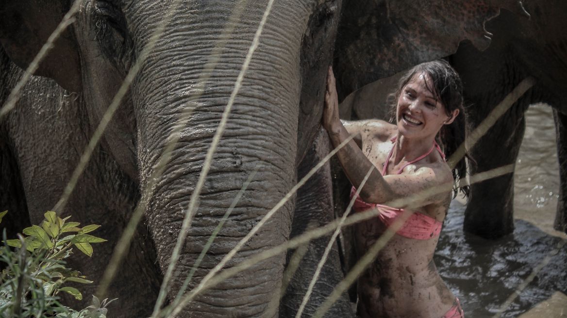 Chiang Mai Tour: Ethical Elephant Care
