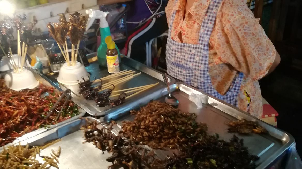 Anyone in for a fried insects treat?