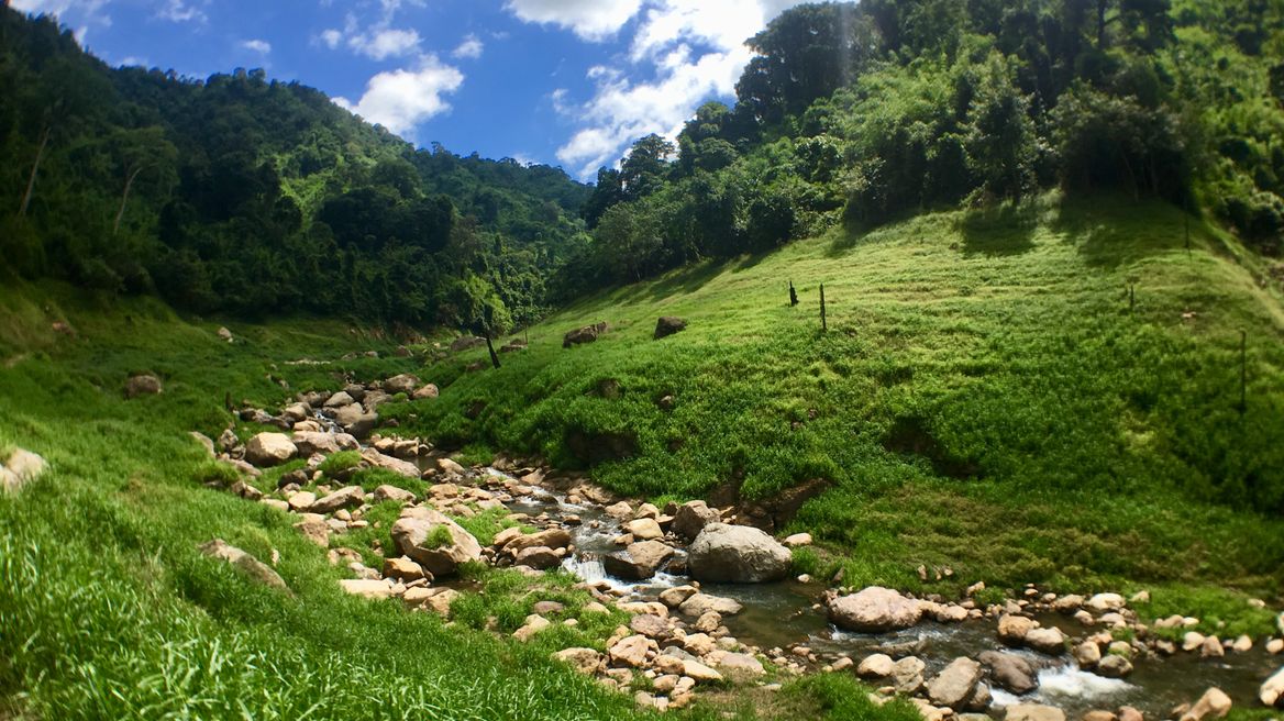 You will wonder how this place can be so close to bangkok