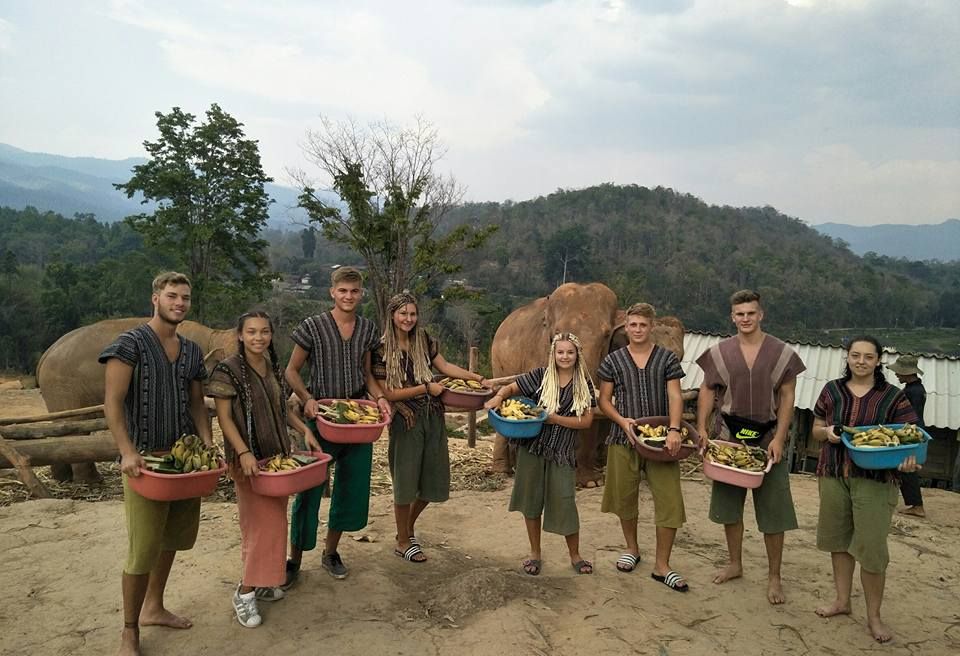 Chiang Mai Ethical Elephant Sanctuary