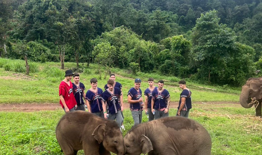 Meet the elephants and enjoy feeding, playing, and taking photos with them