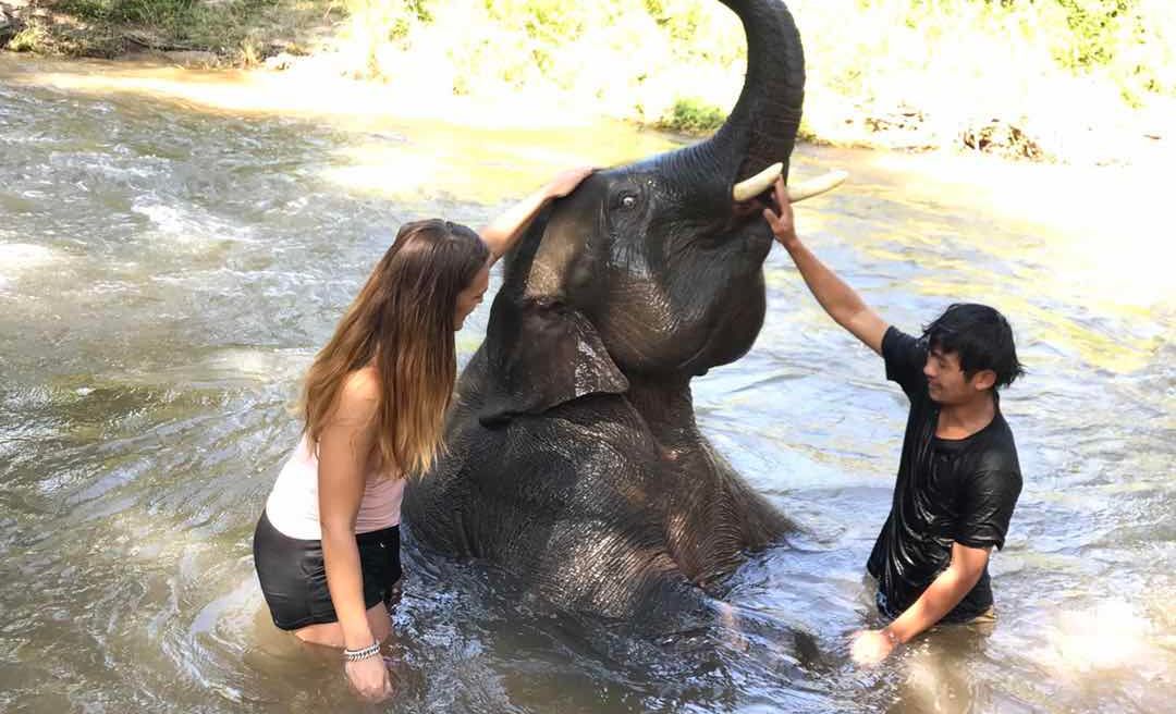 Chiang Mai Tour: Ethical Elephant Sanctuary 