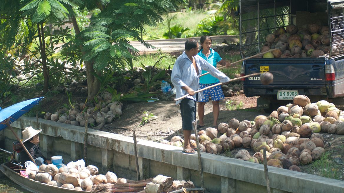 Coconut sugar farm is very famous here