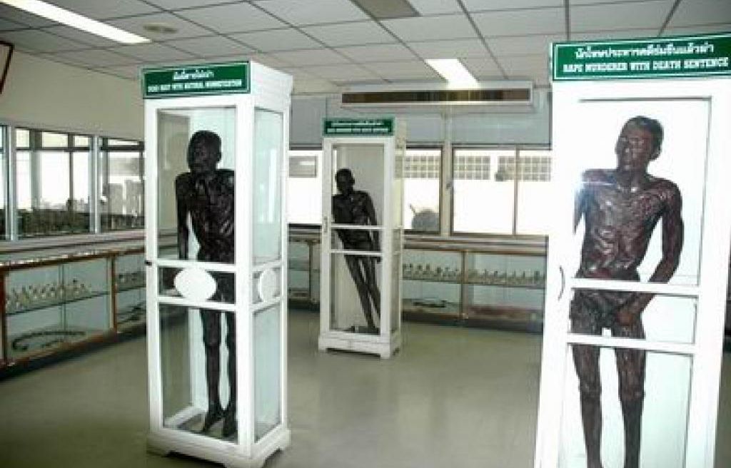 Siriraj Medical Museum (The Museum of death), the museum exhibit all the human organs neatly and systematically arranged. The museum also exhibits evidence from important post-verdict cases. Cases here include the Nualchawee murder case, showing injuries and organs that had been shot, stabbed, including autopsy instruments; investigation in the great Tsunami event in 2004 and the corsp of "Si-Ouey" the notorious murderer who ate the hearts and livers of his child victims.