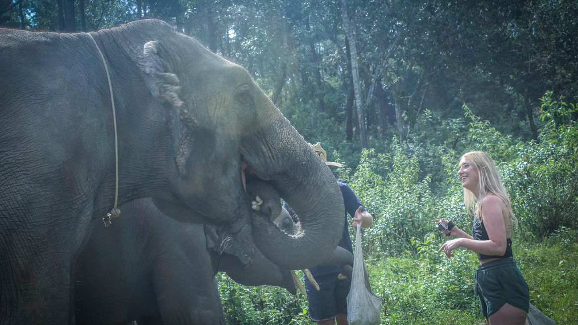 Chiang Mai Tour: Ethical Elephant Care