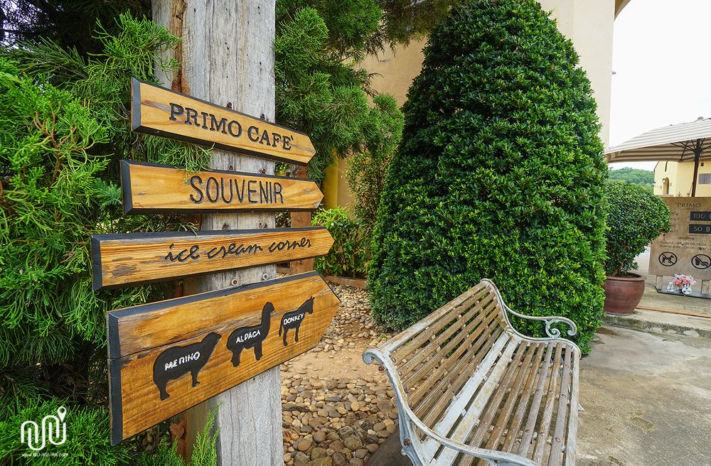 While away your afternoon at Primo Piazza