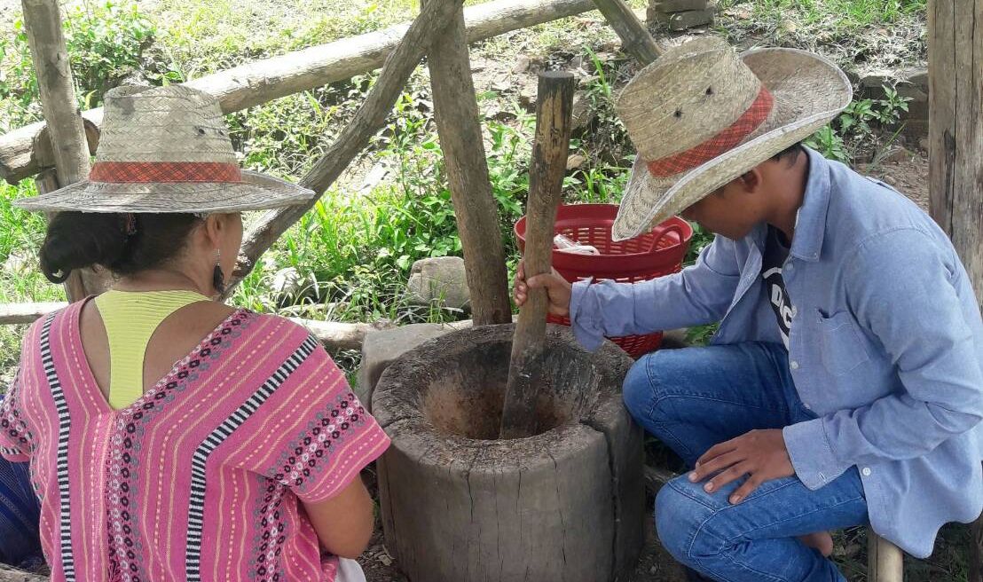 Make medicine for elephants