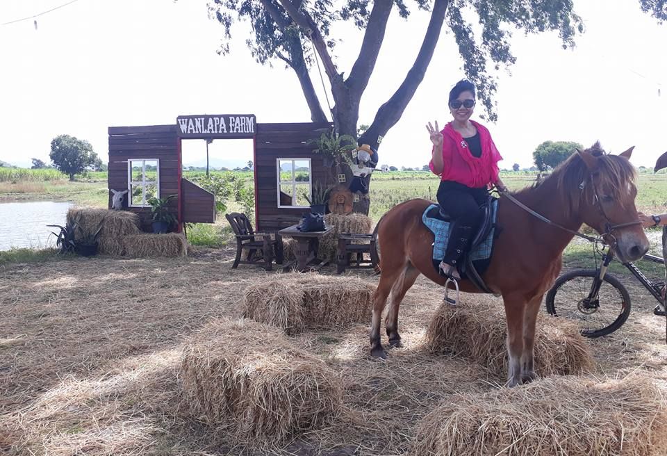 This is at Wanlapa Farmstay