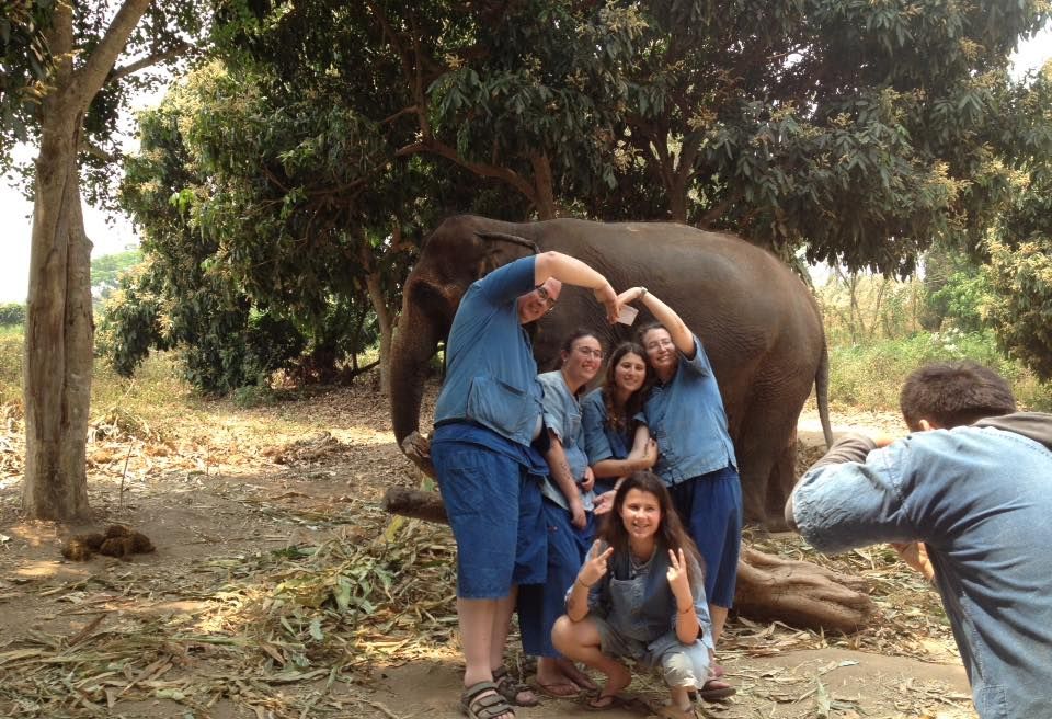 Ethical Elephant Day Care in Chiang Mai