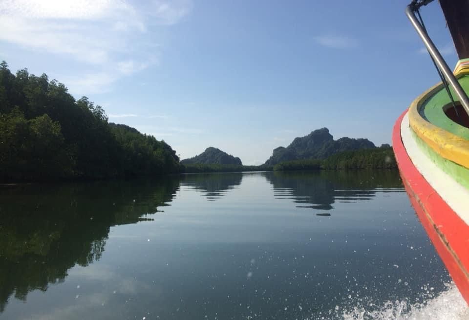 Slow local boat with quiet mangrove forest