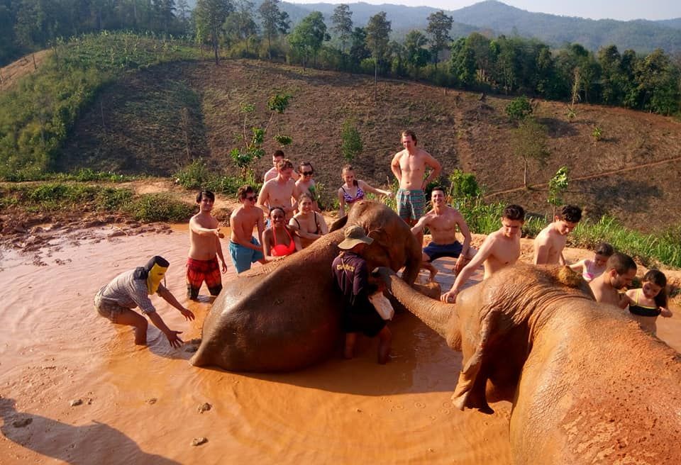 Chiang Mai Ethical Elephant Sanctuary