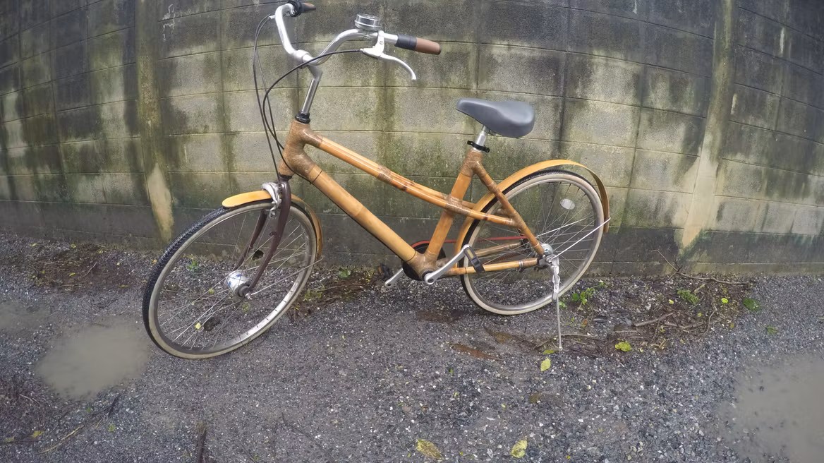 Bamboo Bicycle  