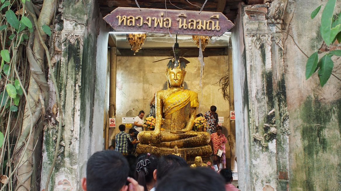 Banyan tree covered the ordination hall in old temple